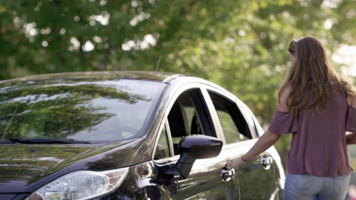 Motor Vehicles