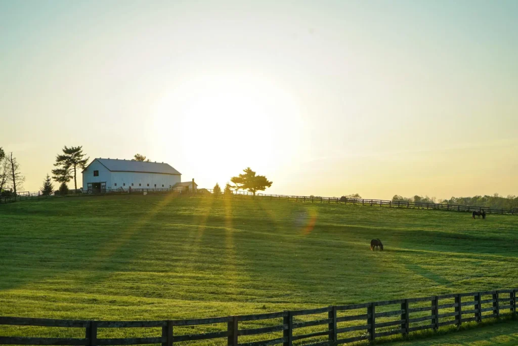 Horses grazing on a farm as the sun rises